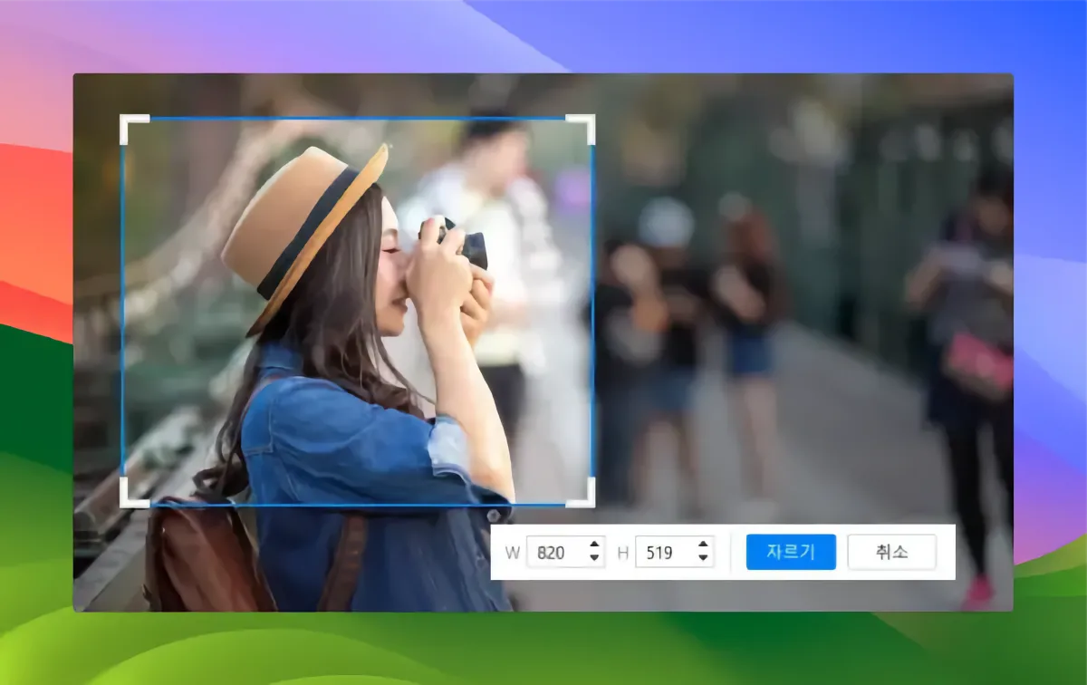 알캡처 다운로드_01