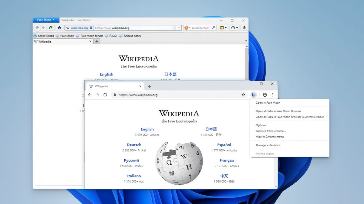 페일문 브라우저 다운로드 - Pale Moon_01